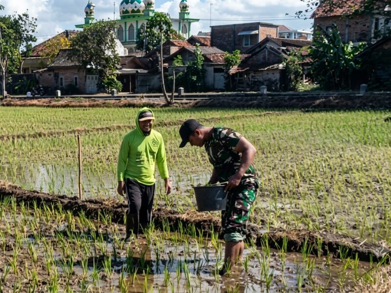 Kapenrem 081/DSJ: Pendampingan Babinsa Bentuk Kepedulian TNI AD