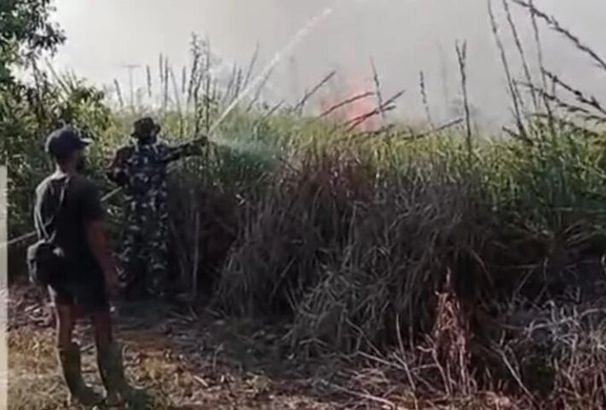Gotong Royong Babinsa dan Warga Tomage Padamkan Api di Lahan Gambut Kampung Wanmar – Detiktoday.com