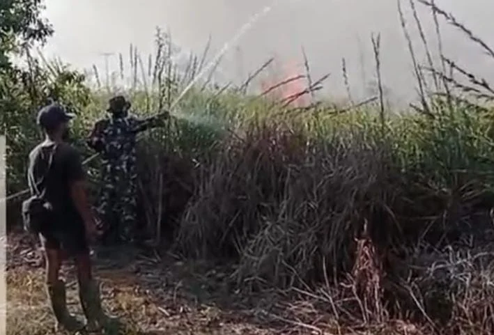 Gotong Royong Babinsa dan Warga Tomage Padamkan Api di Lahan Gambut Kampung Wanmar – Detiktoday.com