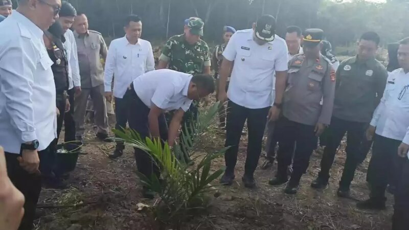 Wako Prabumulih Luncurkan Program Tebang Tebas Pertama di Sumsel – Detiktoday.com