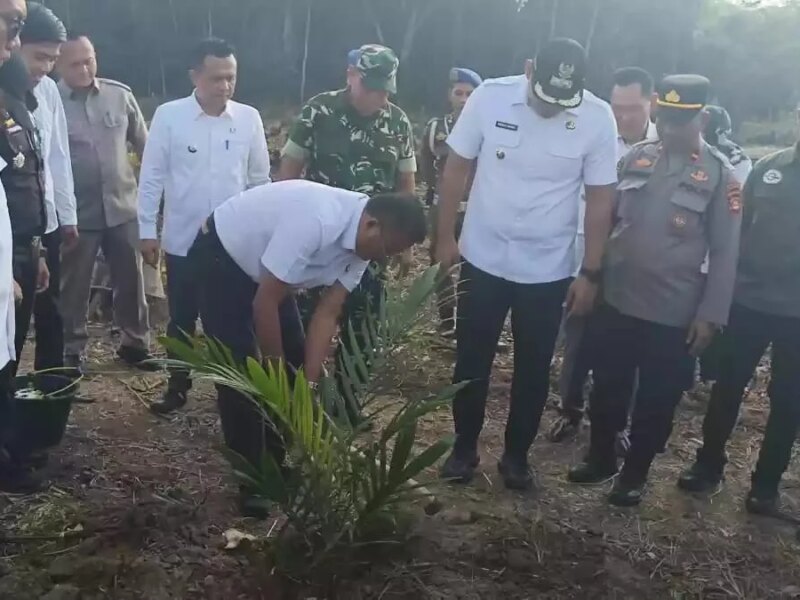 Wako Prabumulih Luncurkan Program Tebang Tebas Pertama di Sumsel – Detiktoday.com