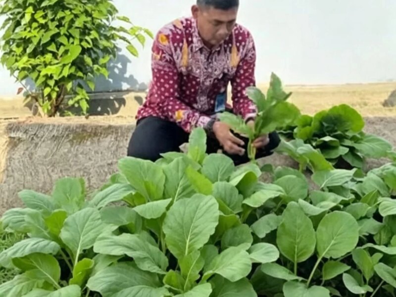 Rutan Putussibau Buktikan WBP Bisa Produktif dan Mandiri – Detiktoday.com