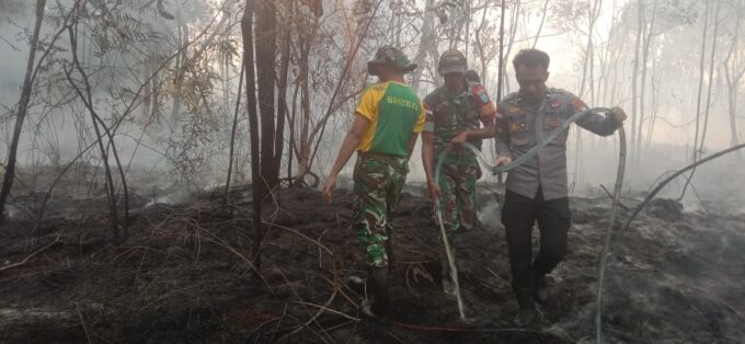 Dikepung Asap! Aksi Heroik TNI-Polri dan Warga Kapuas Hulu Gempur Karhutla Serentak di 5 Titik – Detiktoday.com