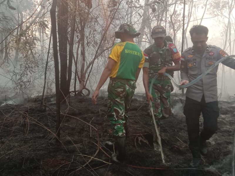 Dikepung Asap! Aksi Heroik TNI-Polri dan Warga Kapuas Hulu Gempur Karhutla Serentak di 5 Titik – Detiktoday.com