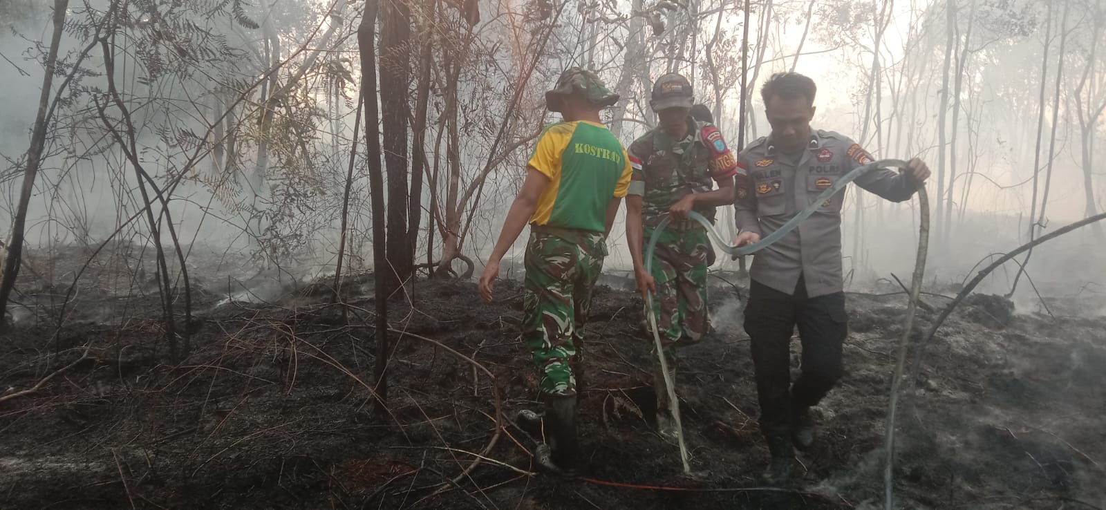 Dikepung Asap! Aksi Heroik TNI-Polri dan Warga Kapuas Hulu Gempur Karhutla Serentak di 5 Titik – Detiktoday.com