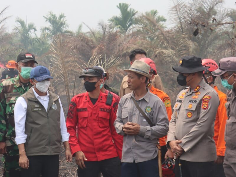 Menteri Kehutanan Tinjau Karhutla Tanjab Timur, Polda Jambi Perkuat Pencegahan dan Penegakan Hukum – Detiktoday.com