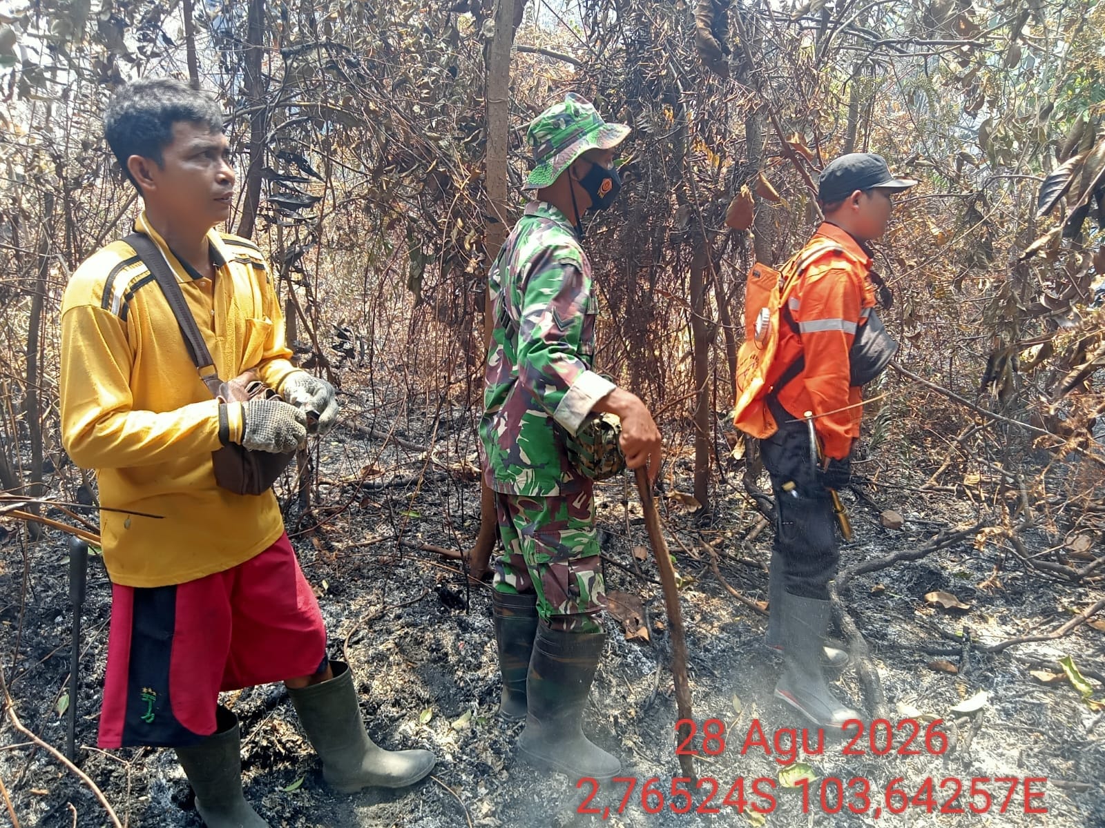Tak Tunggu Api Membesar, Instruksi Bupati Langsung Ditindaklanjuti Tim Karhutla Muba – Detiktoday.com