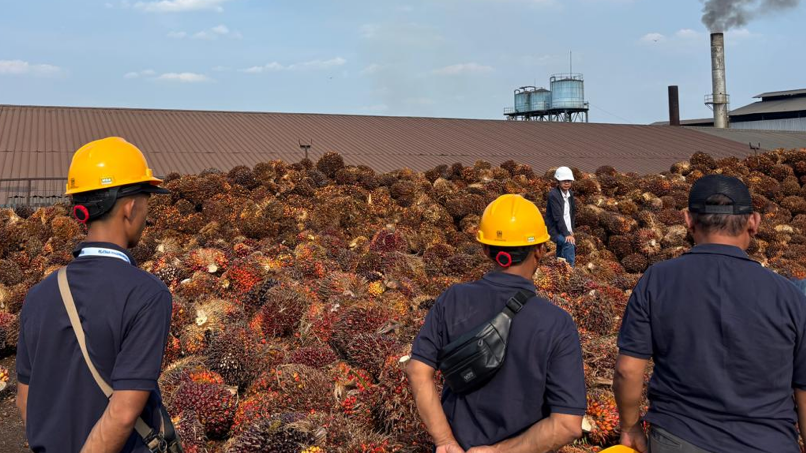 Pelatihan Jadi Investasi SDM, 111 Pekebun Sumsel Didorong Optimalkan Hasil Kebun – Detiktoday.com
