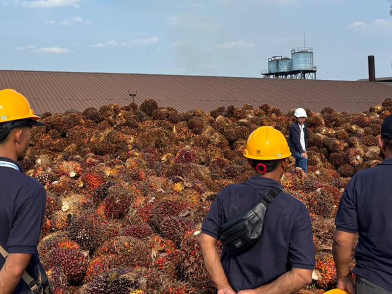 Pelatihan Jadi Investasi SDM, 111 Pekebun Sumsel Didorong Optimalkan Hasil Kebun – Detiktoday.com