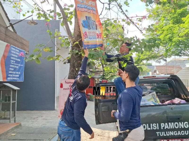Satpol PP Tulungagung Tertibkan 28 Reklame Ilegal, Puluhan Dicopot karena Izin Kedaluwarsa dan Dipaku di Pohon – Detiktoday.com