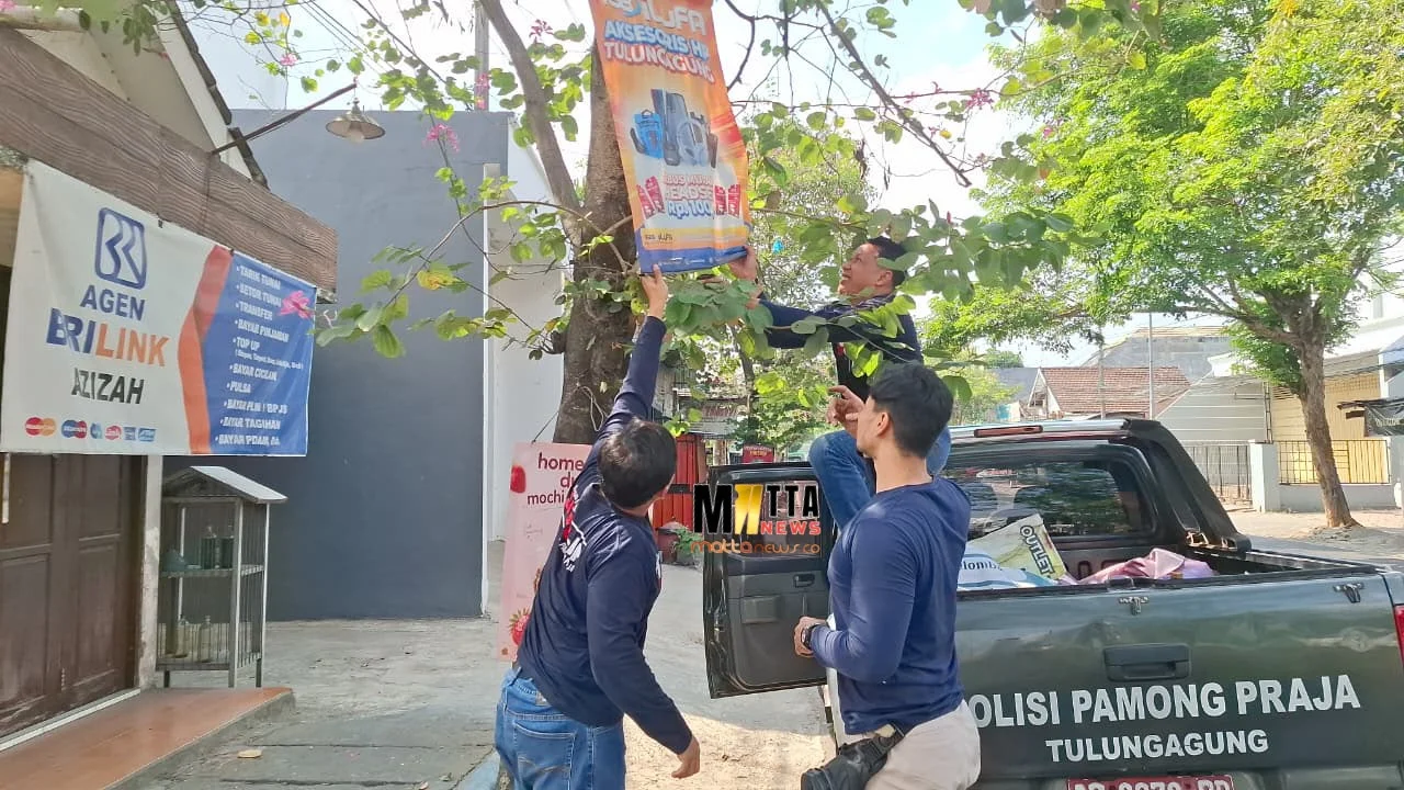 Satpol PP Tulungagung Tertibkan 28 Reklame Ilegal, Puluhan Dicopot karena Izin Kedaluwarsa dan Dipaku di Pohon – Detiktoday.com