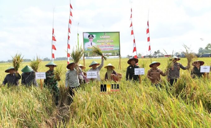 Kabupaten Tulungagung Tetap Swasembada Pangan, Produksi Padi Surplus untuk Dukung Daerah Lain – Detiktoday.com