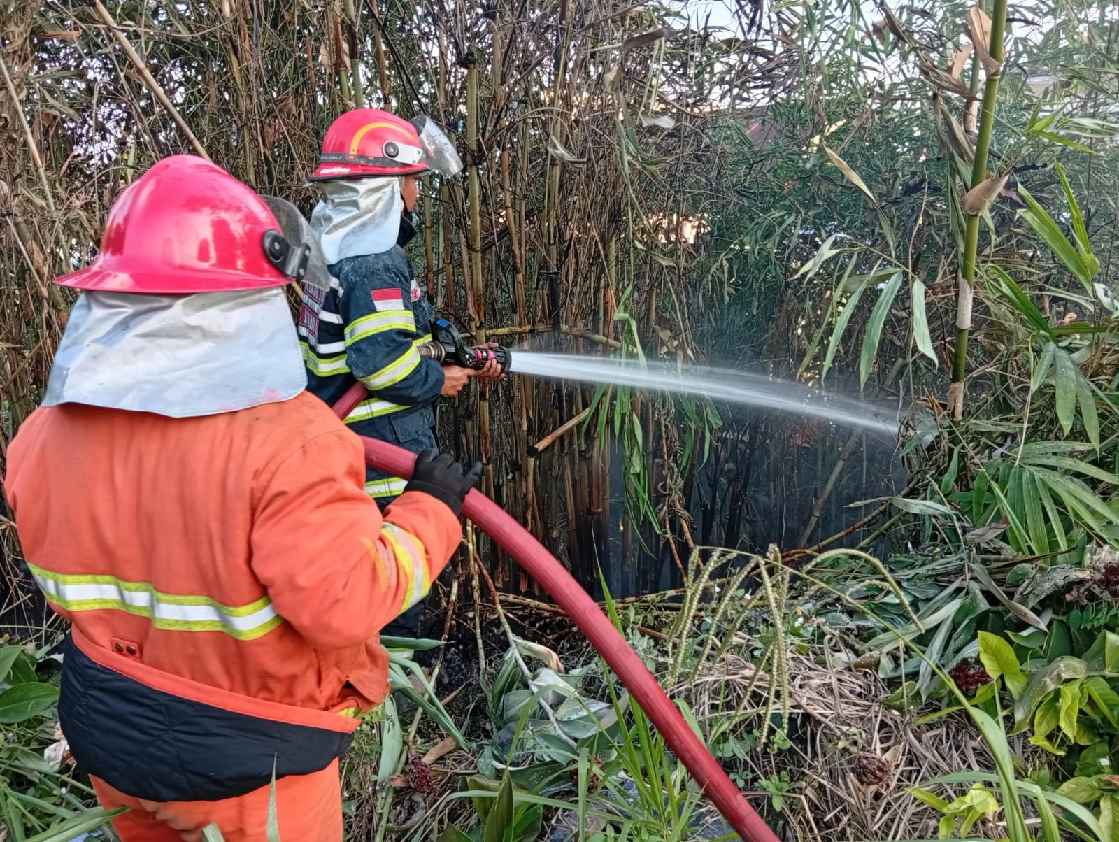 Kebakaran Lahan di Kuburan Sengkawang Jambi, Diduga Dipicu Pembakaran Sampah – Detiktoday.com