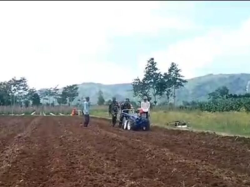 Dukung Ketahanan Pangan Nasional, Babinsa Campurdarat Dampingi Petani Siapkan Lahan Jagung