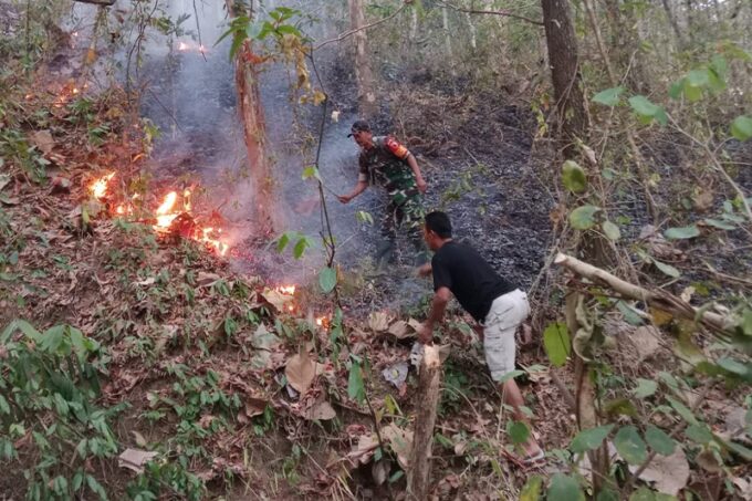 Tim Gabungan Padamkan Kebakaran Hutan di Trenggalek