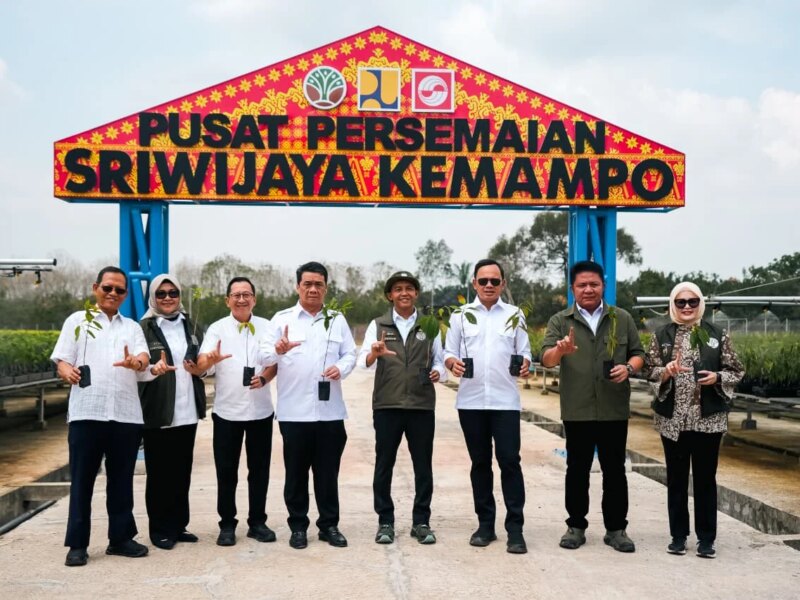 Dukung Gerakan Penanaman Ratusan Juta Pohon, Pusat Persemaian Sriwijaya Kemampo Perkuat Jaringan Persemaian Nasional* – Detiktoday.com