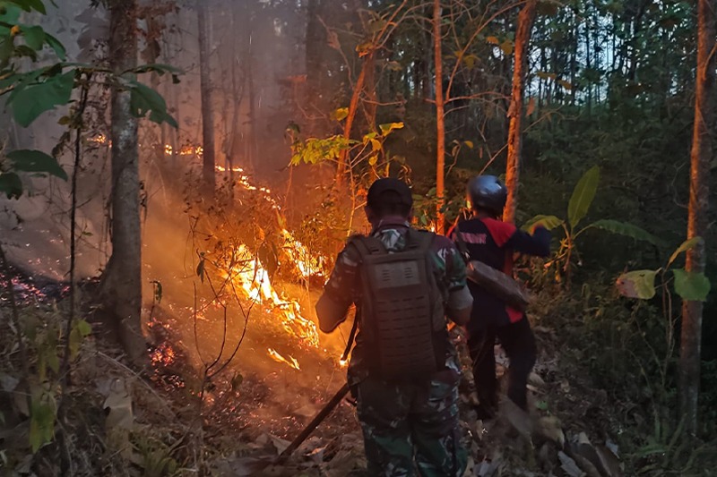 TNI-Polri-BPBD Padamkan Kebakaran Hutan 3,5 Hektare di Panggul