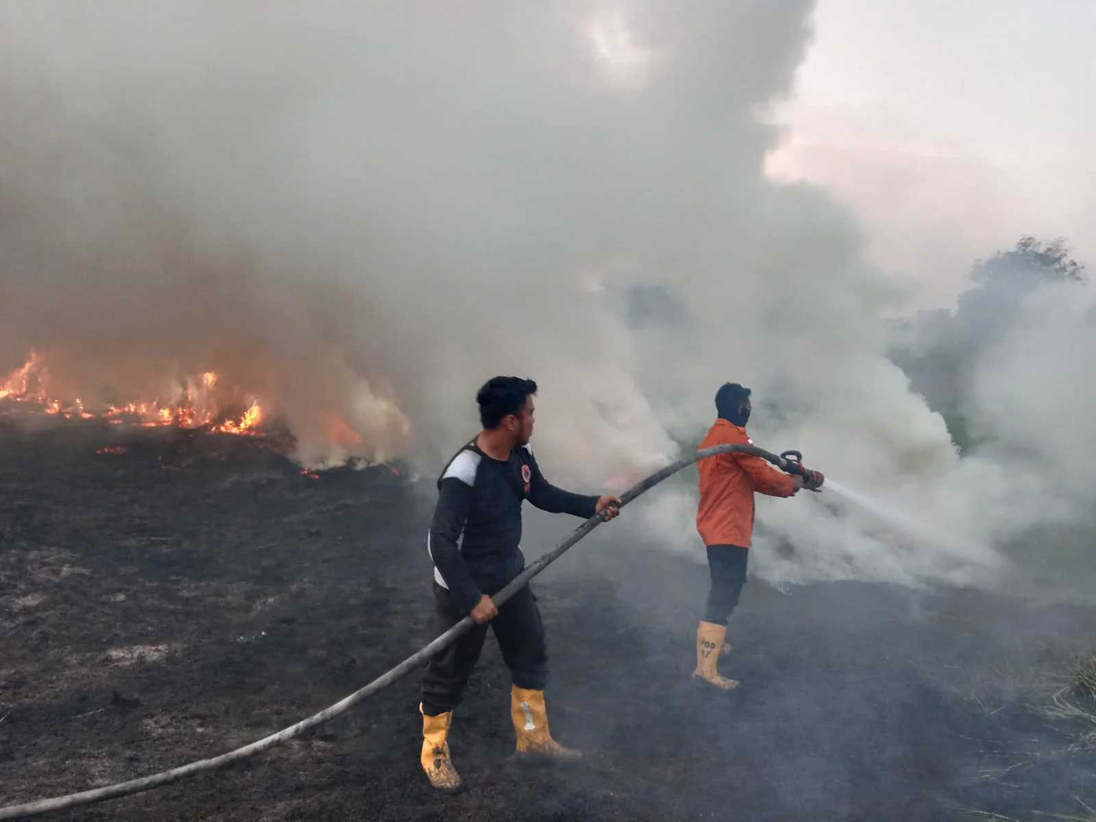 Karhutbunla Terjadi di Dua Lokasi Sekayu Muba, Sekitar 3 Hektare Lahan Terbakar – Detiktoday.com