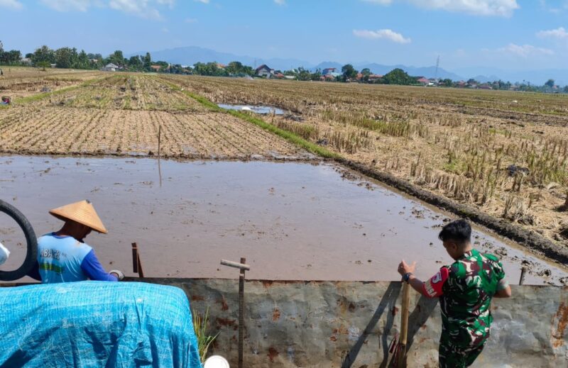 Dukung Kesiapan Masa Tanam, Babinsa Kendalbulur Dampingi Petani Perbaiki Pematang Sawah