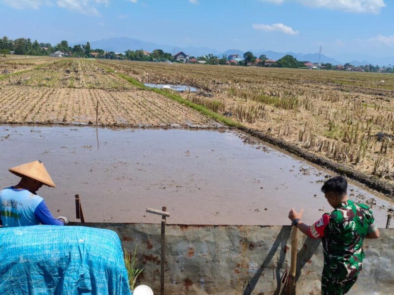 Dukung Kesiapan Masa Tanam, Babinsa Kendalbulur Dampingi Petani Perbaiki Pematang Sawah
