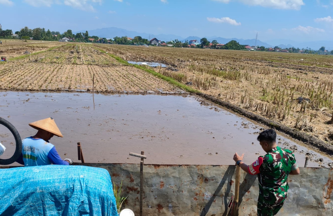 Dukung Kesiapan Masa Tanam, Babinsa Kendalbulur Dampingi Petani Perbaiki Pematang Sawah