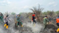 Kapolda Jambi Pastikan Penanganan Karhutla Sungai Gelam Terus Berjalan, Sinergi TNI-Polri dan BPBD Diperkuat – Detiktoday.com