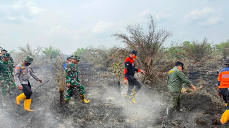 Kapolda Jambi Pastikan Penanganan Karhutla Sungai Gelam Terus Berjalan, Sinergi TNI-Polri dan BPBD Diperkuat – Detiktoday.com