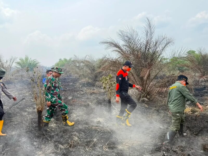 Kapolda Jambi Pastikan Penanganan Karhutla Sungai Gelam Terus Berjalan, Sinergi TNI-Polri dan BPBD Diperkuat – Detiktoday.com