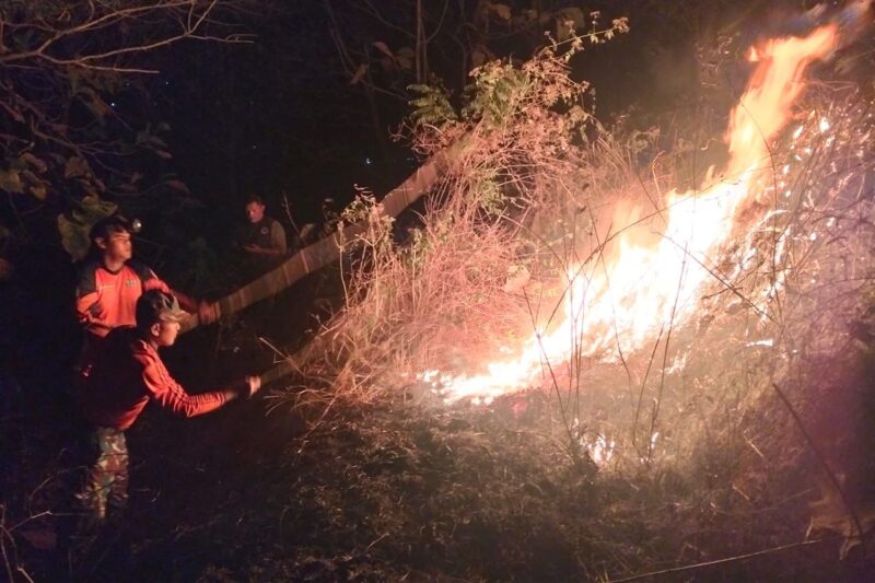 TNI-Polri dan BPBD Padamkan Kebakaran Hutan 3,5 Hektare di Trenggalek