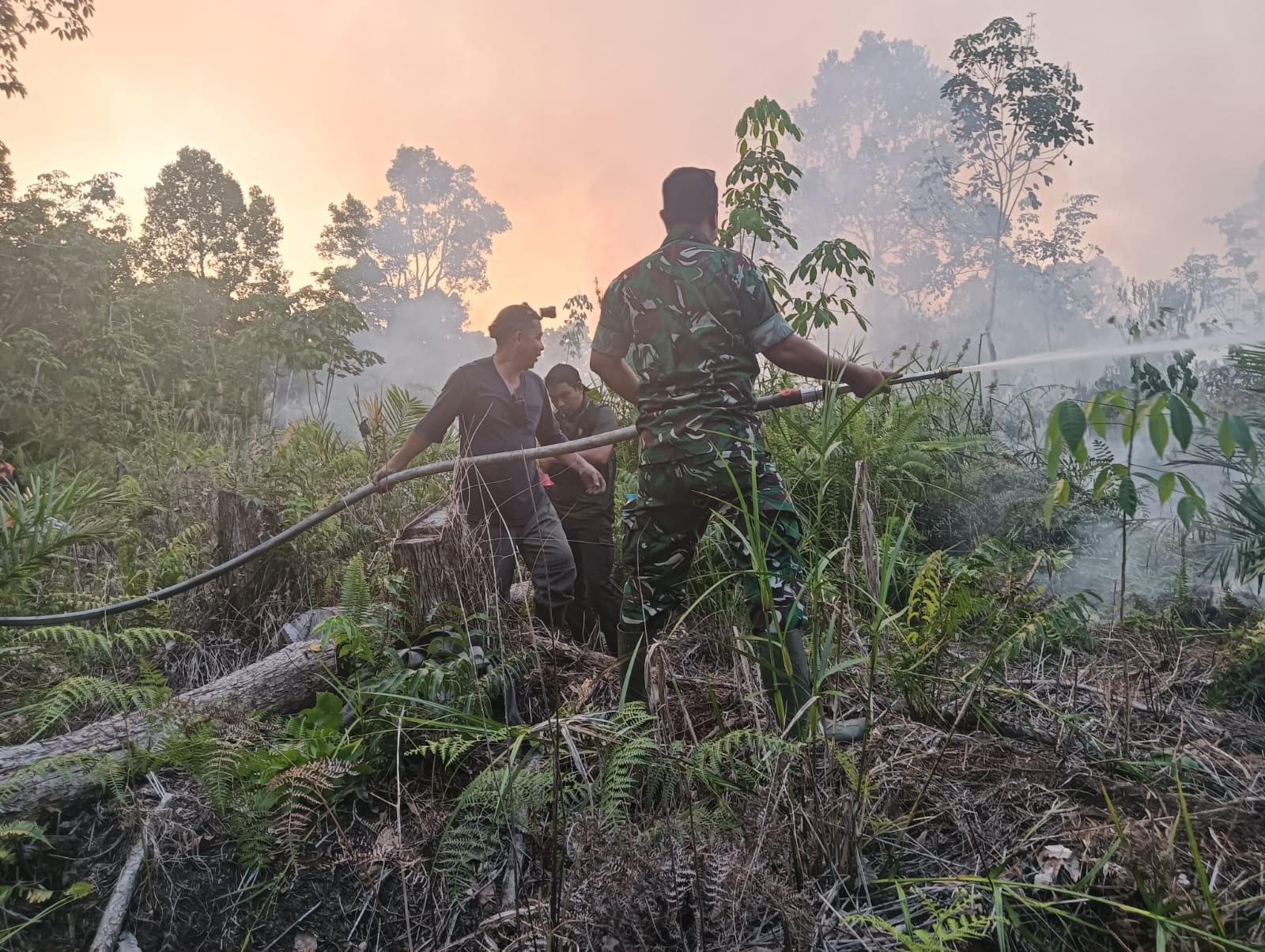 Jangan Bakar Lahan, Bahaya untuk Kita Semua – Detiktoday.com
