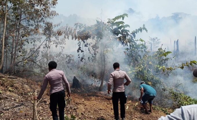 Karhutla Melanda KM 8 Malakuli, Polsek Karas dan Warga Berjibaku Jinakkan Api – Detiktoday.com