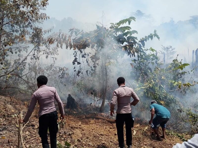 Karhutla Melanda KM 8 Malakuli, Polsek Karas dan Warga Berjibaku Jinakkan Api – Detiktoday.com
