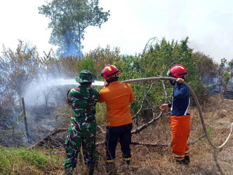 Karhutla Terjadi di Muba, BPBD Selalu Siaga Padamkan Api – Detiktoday.com