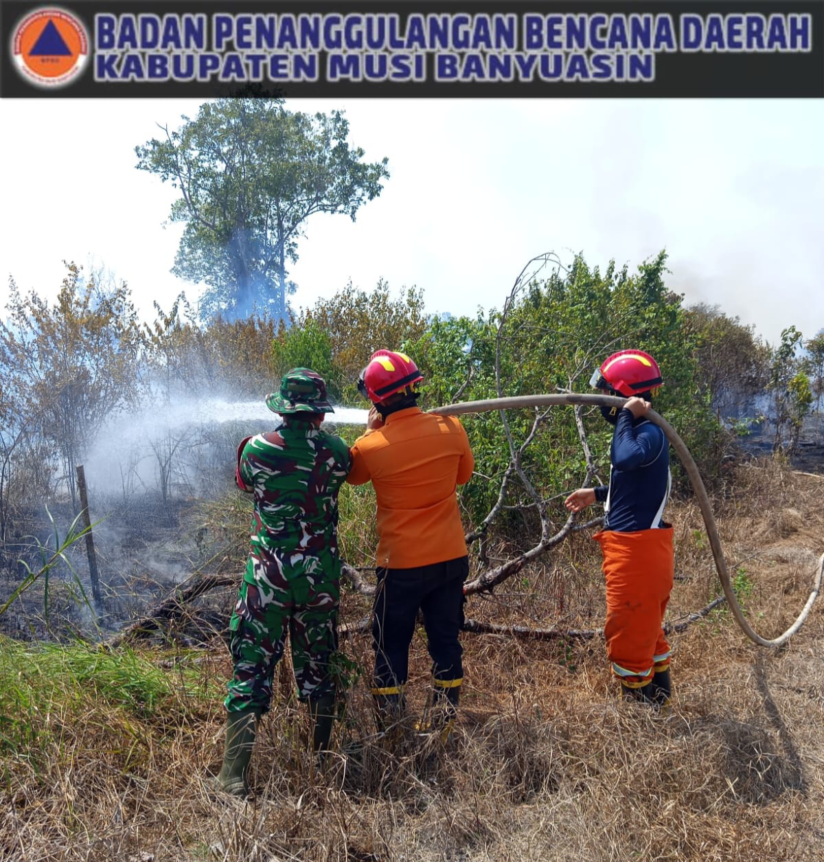 Karhutla Terjadi di Muba, BPBD Selalu Siaga Padamkan Api – Detiktoday.com