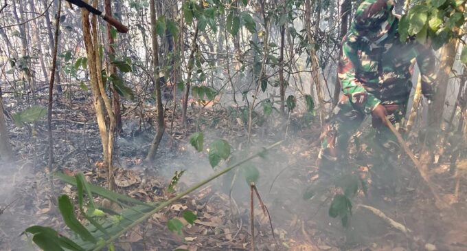 Aksi Cepat Babinsa Karas Padamkan Karhutla di Kampung Malakuli Fakfak – Detiktoday.com