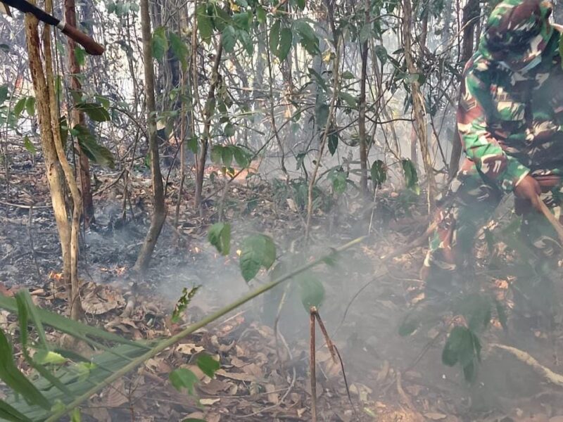 Aksi Cepat Babinsa Karas Padamkan Karhutla di Kampung Malakuli Fakfak – Detiktoday.com