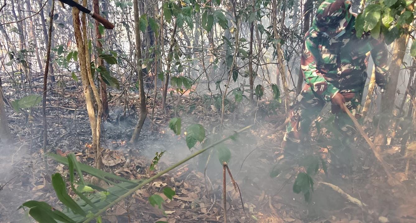 Aksi Cepat Babinsa Karas Padamkan Karhutla di Kampung Malakuli Fakfak – Detiktoday.com