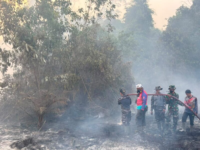 TNI AL BERSAMA TIM SATGAS GABUNGAN, PADAMKAN KEBAKARAN HUTAN DAN LAHAN DI KOTAWARINGIN BARAT
