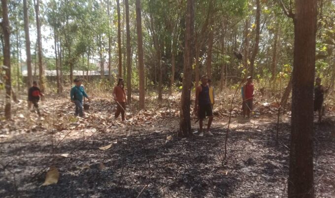 Danramil Boyolangu dan Anggota Bersama PMK dan Warga, Padamkan Kebakaran Lahan di Perbatasan Wajak Kidul-Sanggrahan