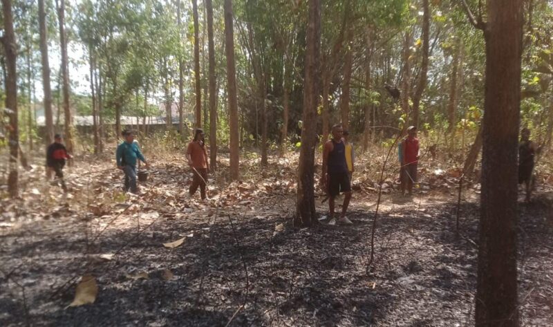 Danramil Boyolangu dan Anggota Bersama PMK dan Warga, Padamkan Kebakaran Lahan di Perbatasan Wajak Kidul-Sanggrahan