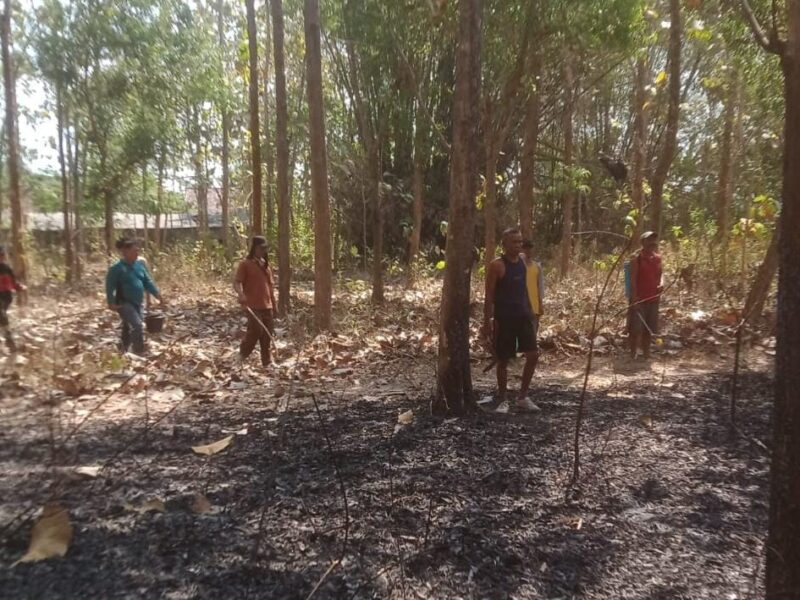Danramil Boyolangu dan Anggota Bersama PMK dan Warga, Padamkan Kebakaran Lahan di Perbatasan Wajak Kidul-Sanggrahan