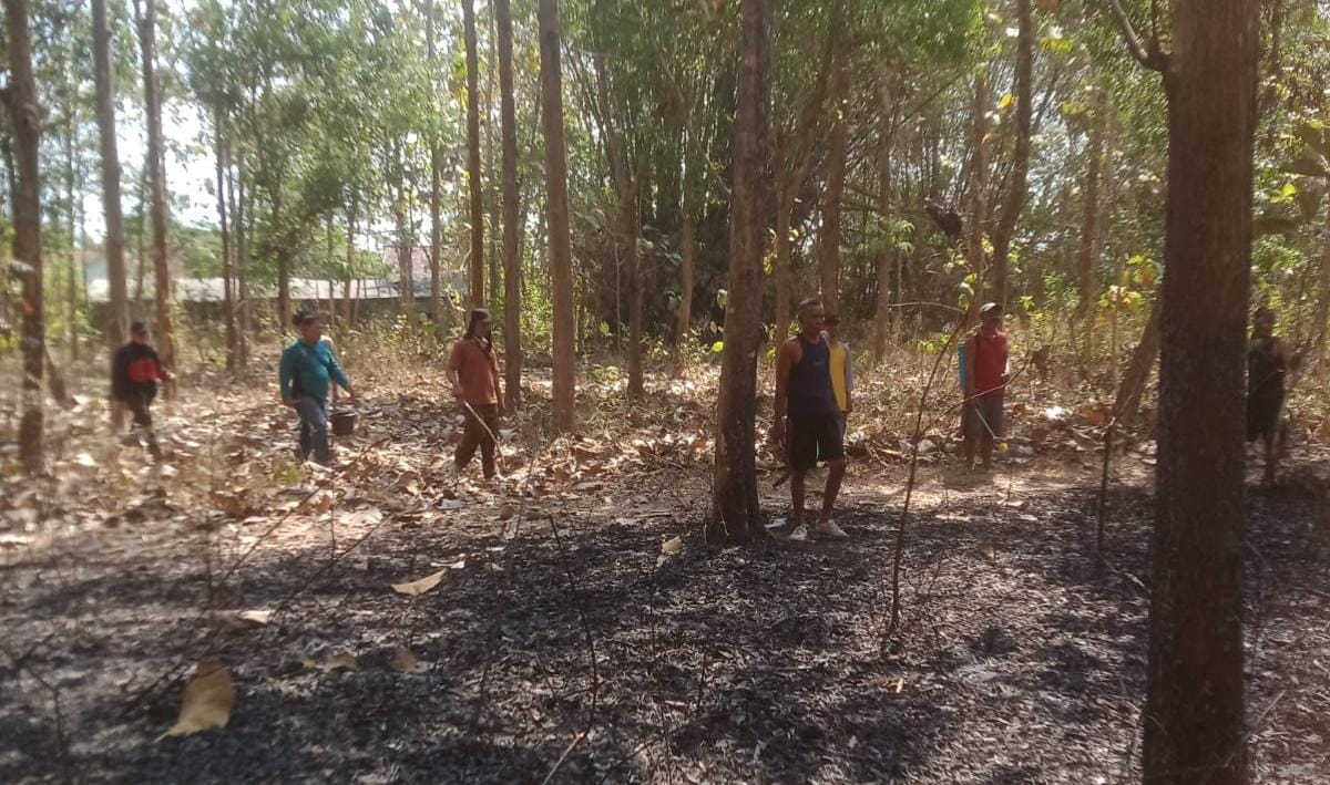 Danramil Boyolangu dan Anggota Bersama PMK dan Warga, Padamkan Kebakaran Lahan di Perbatasan Wajak Kidul-Sanggrahan