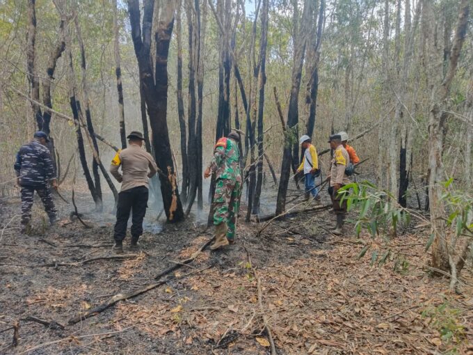 SINERGI TNI AL DAN TIM GABUNGAN TANGANI KARHUTLA DI DESA SEKAPUNG, KALSEL