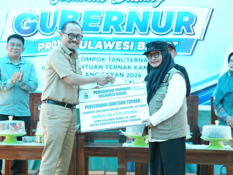 Dukung Ekonomi Peternak, Pemprov Sulbar Topang Majene Lewat Bantuan Kambing dan Ayam – Detiktoday.com