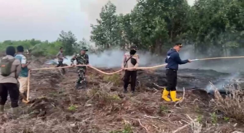 Patroli Karhutla di Tahura Batanghari Temukan Titik Api, Satgas Gabungan Langsung Bergerak Padamkan – Detiktoday.com