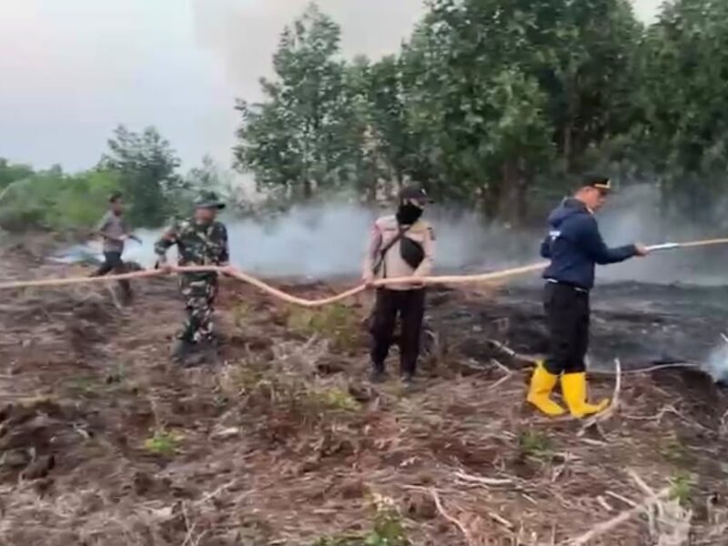 Patroli Karhutla di Tahura Batanghari Temukan Titik Api, Satgas Gabungan Langsung Bergerak Padamkan – Detiktoday.com