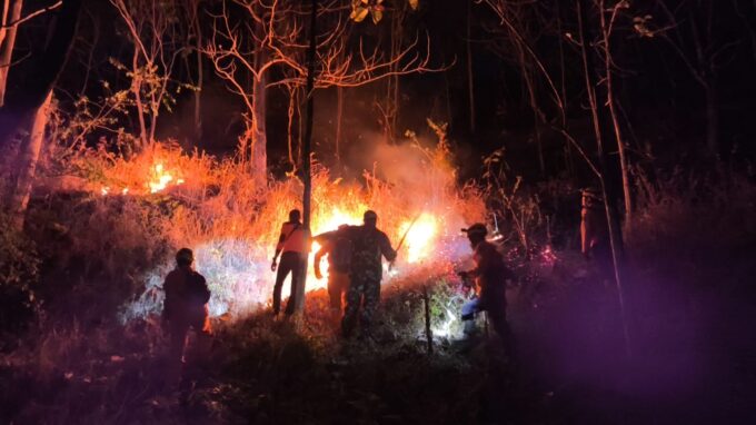 Hutan di Wilayah Desa Binaan Terbakar, Babinsa Bersama Unsur Terkait Tanggap Atasi