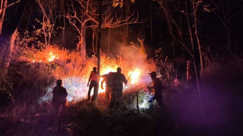 Hutan di Wilayah Desa Binaan Terbakar, Babinsa Bersama Unsur Terkait Tanggap Atasi
