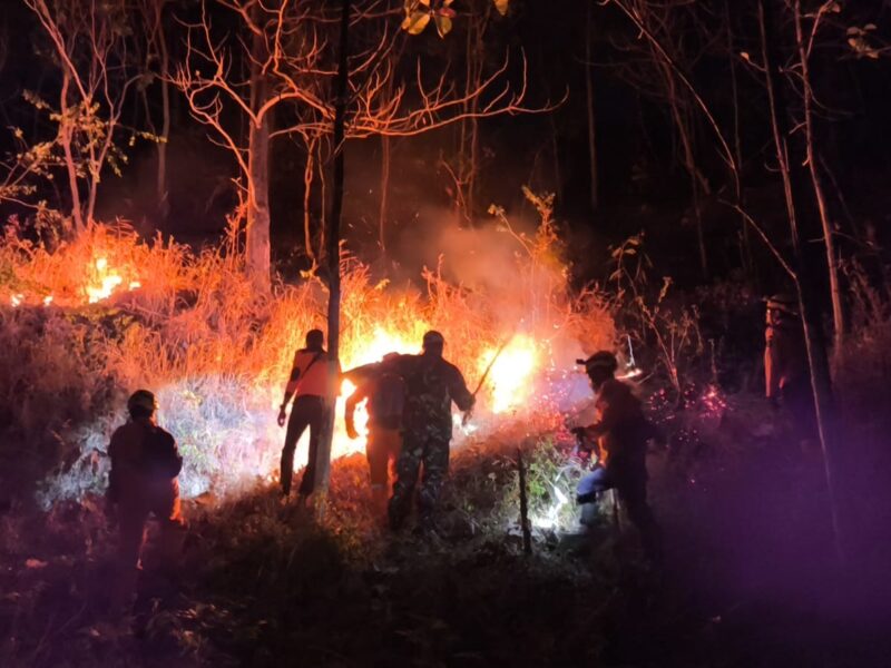Hutan di Wilayah Desa Binaan Terbakar, Babinsa Bersama Unsur Terkait Tanggap Atasi