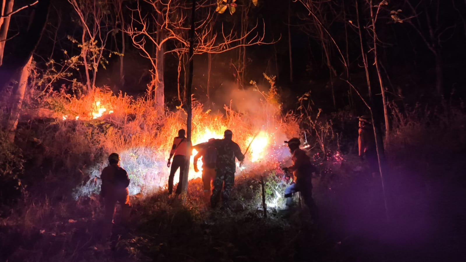 Hutan di Wilayah Desa Binaan Terbakar, Babinsa Bersama Unsur Terkait Tanggap Atasi
